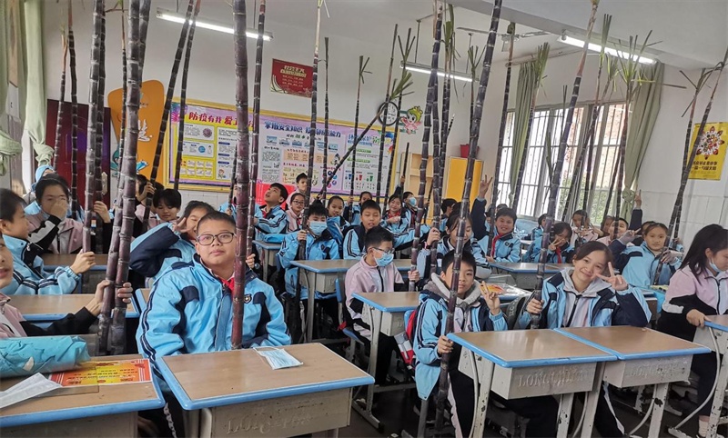 蔗蔗高猪肉青菜南宁多个小学放假仪式感满满