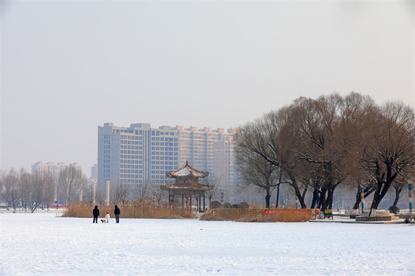 河北灤南北河雪景美如畫