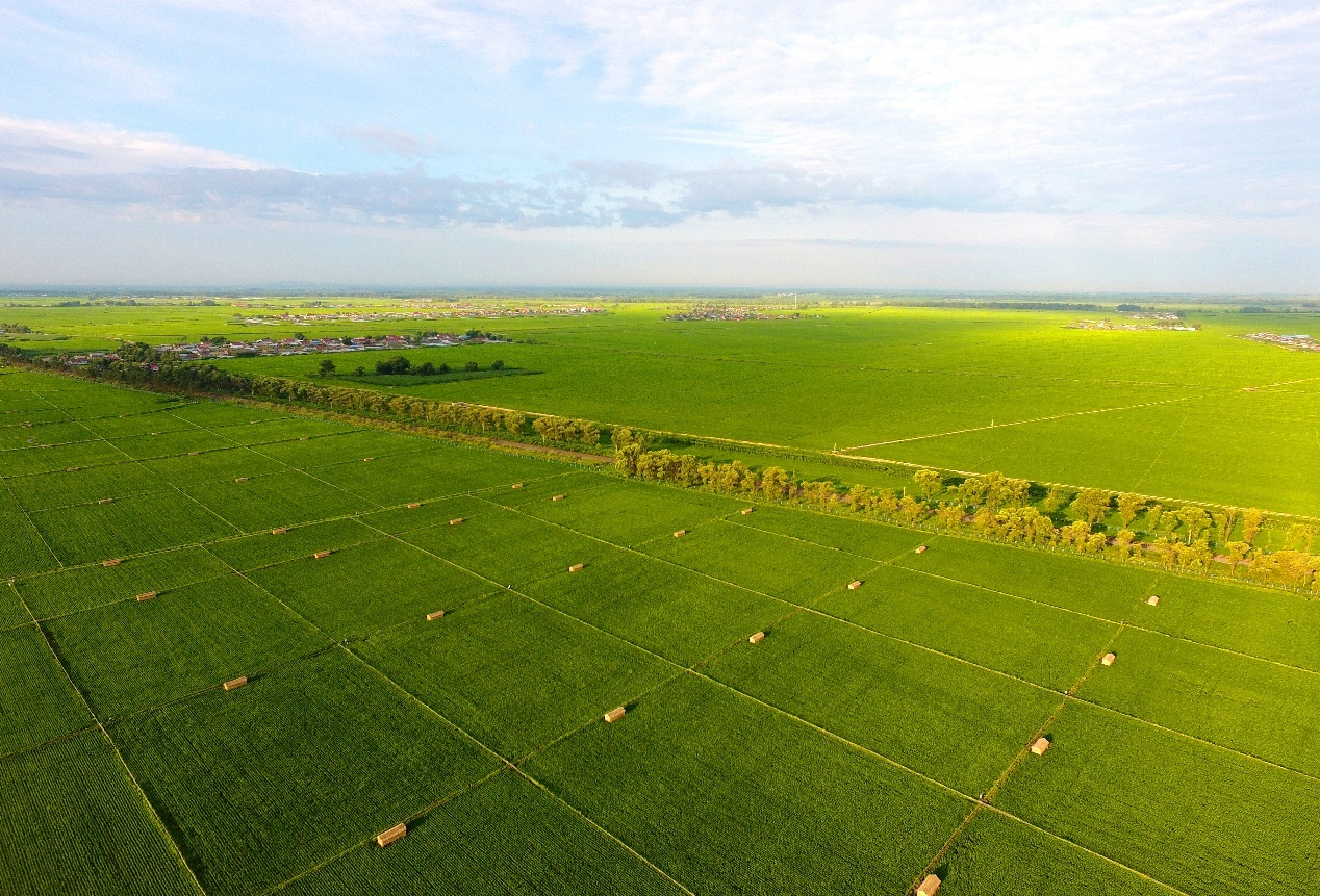 哈尔滨五常市大米协会五届三次理事会员代表会议召开