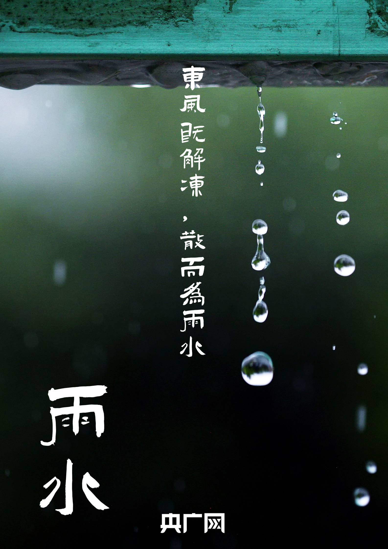 雨水节气物候图片