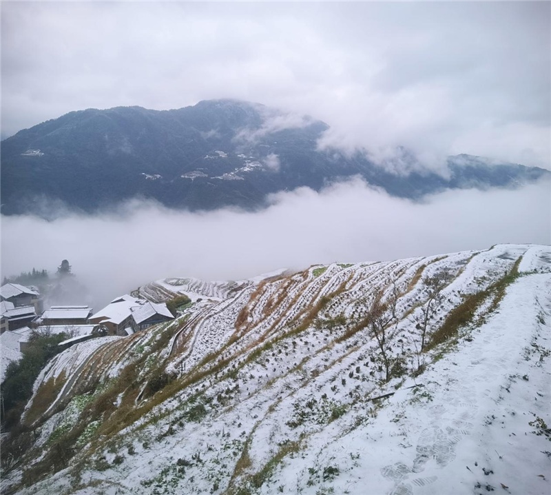 云和梯田雪景图片