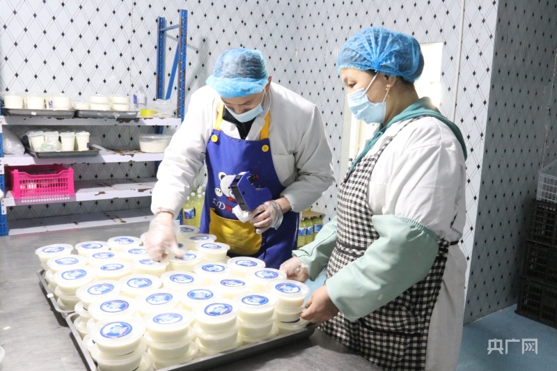 新疆库尔勒小酸奶做出大文章