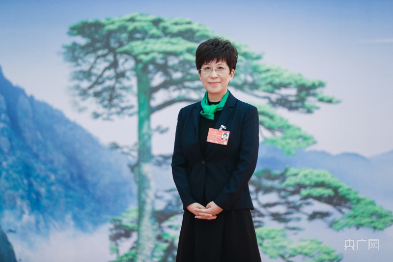 黄山市委书记凌云在全国两会上(央广网发 黄山市外宣办供图)近期,"大