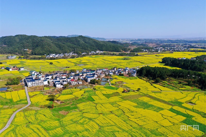 江西省上饒市橫峰縣姚家鄉蘭子村秀美鄉村圖景(央廣網發 薛南 攝)江西