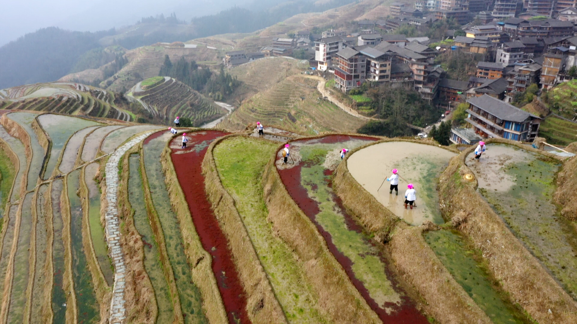 广西龙胜千层梯田美如画壮乡村民春耕忙