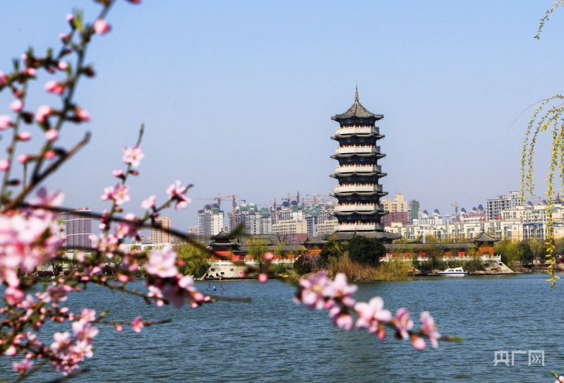 在柘城县容湖国家湿地公园和千树园景区,春风吹皱一湖春水,丝丝垂柳