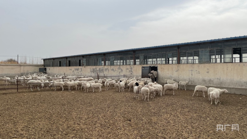 农村养U8国际- U8国际官方网站- U8体育APP下载殖业30个经典致富项目