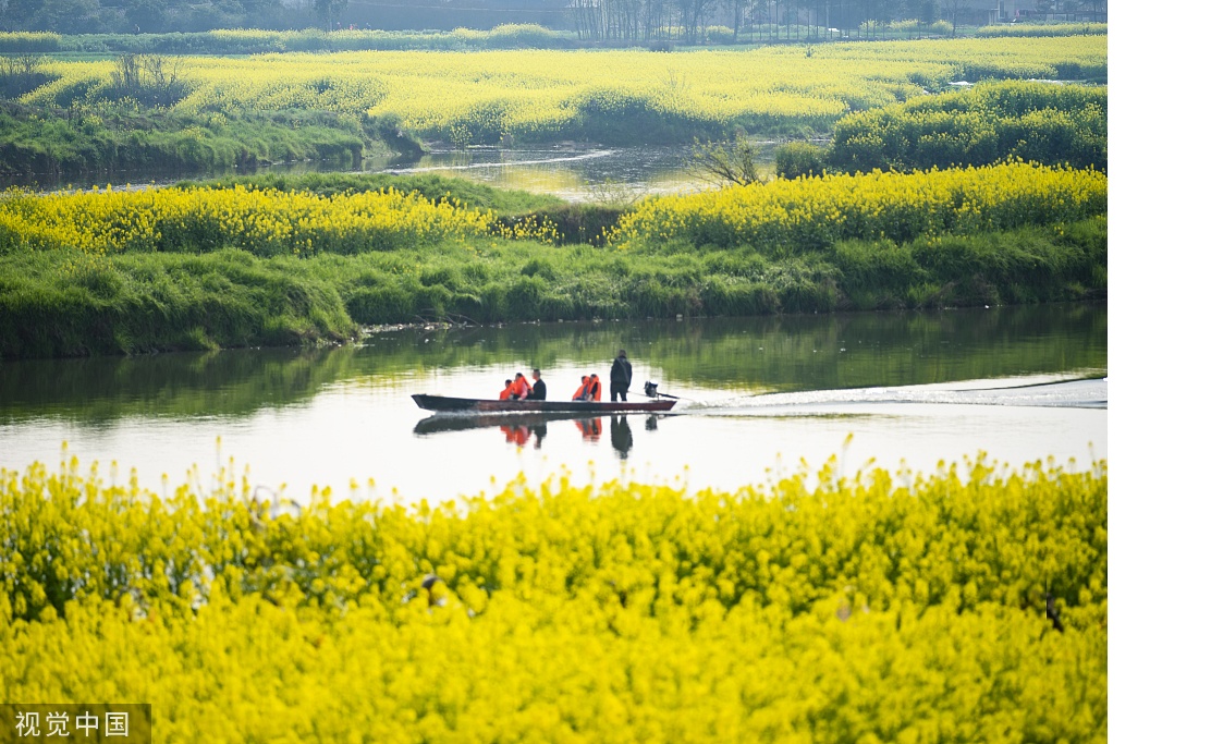 四川以漁促稻打造公園式魚米之鄉