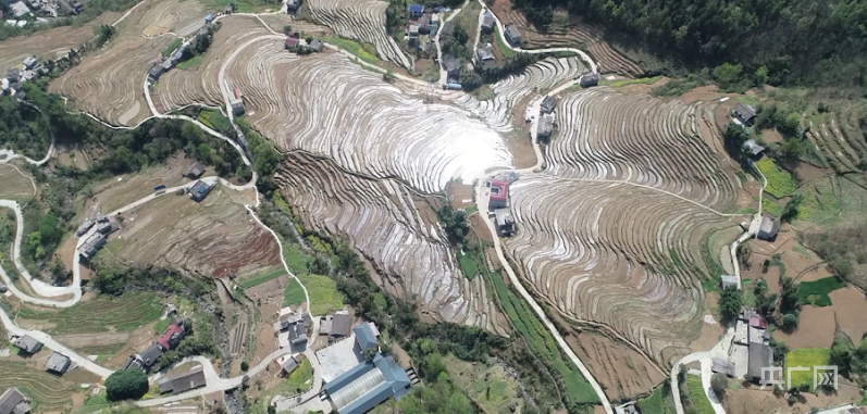 央广网西安4月2日消息(记者舒隆焕)仲春时节,地处陕西秦巴山区南宫山