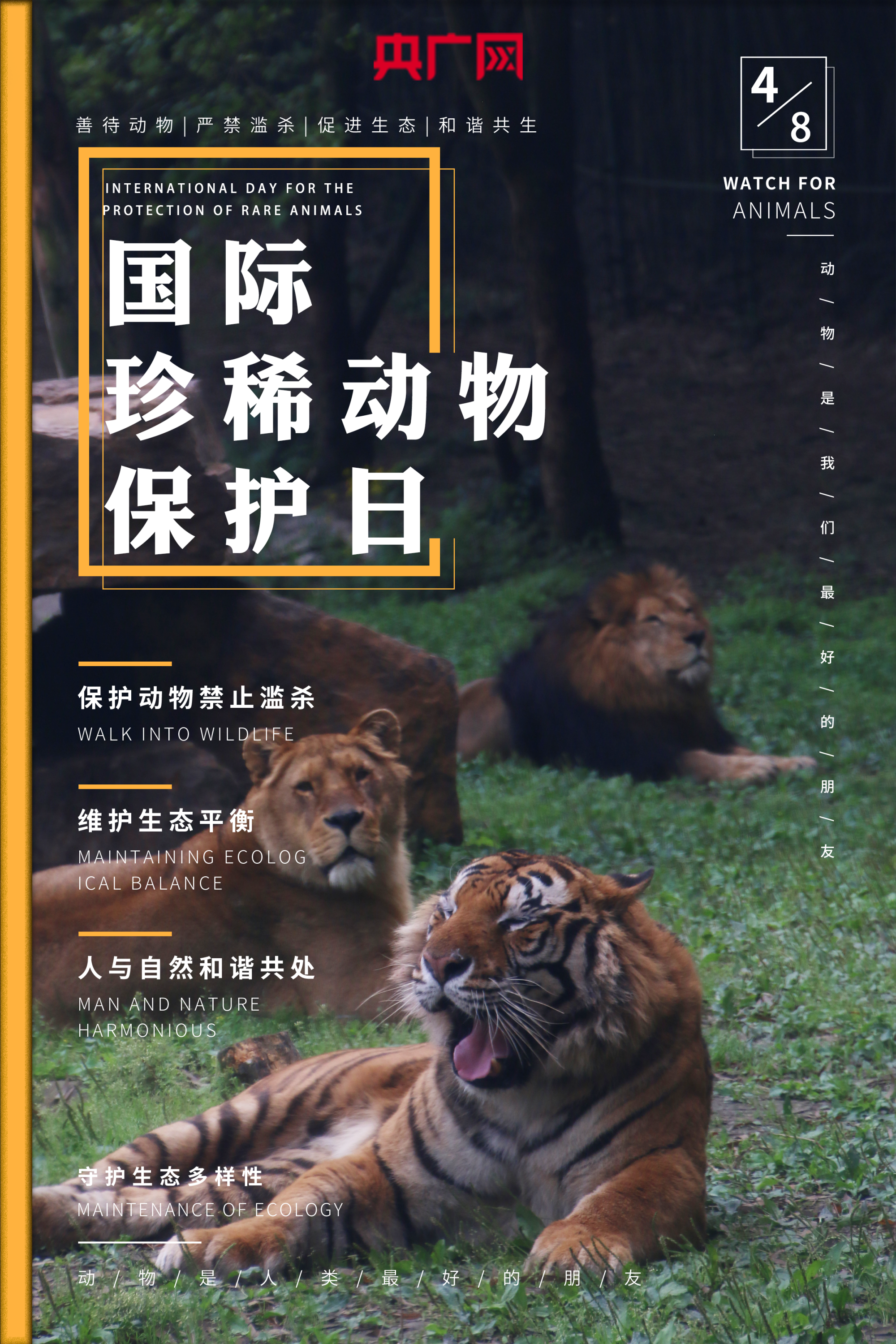 国际珍稀动物保护日弥足珍贵我们讲不出再见