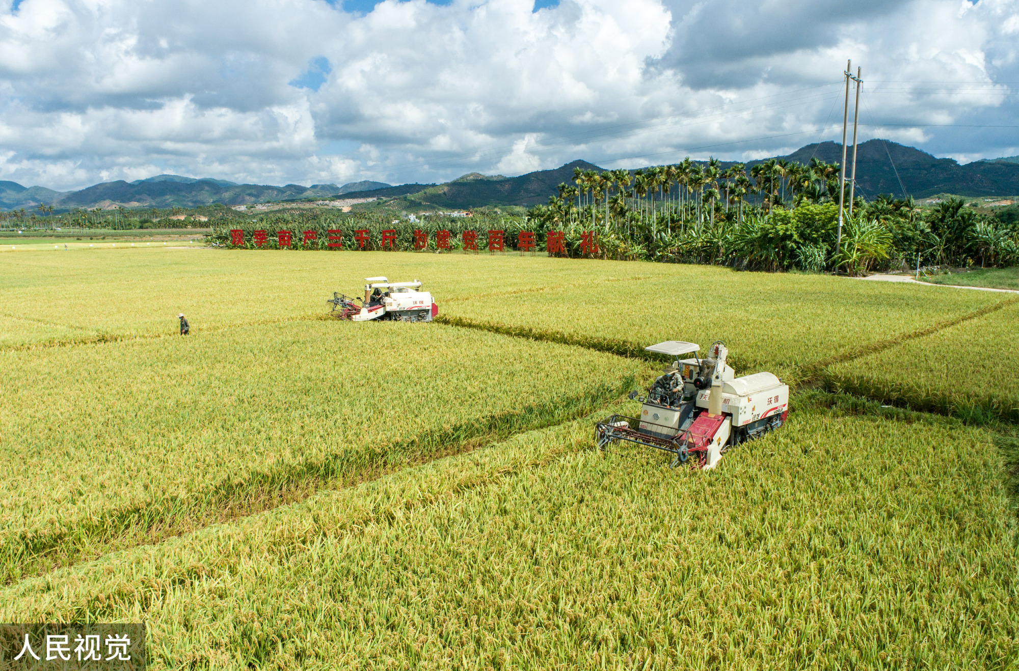 图文无关(图片来源:视觉中国)海南省农业农村厅党组书记,厅长何琼妹在
