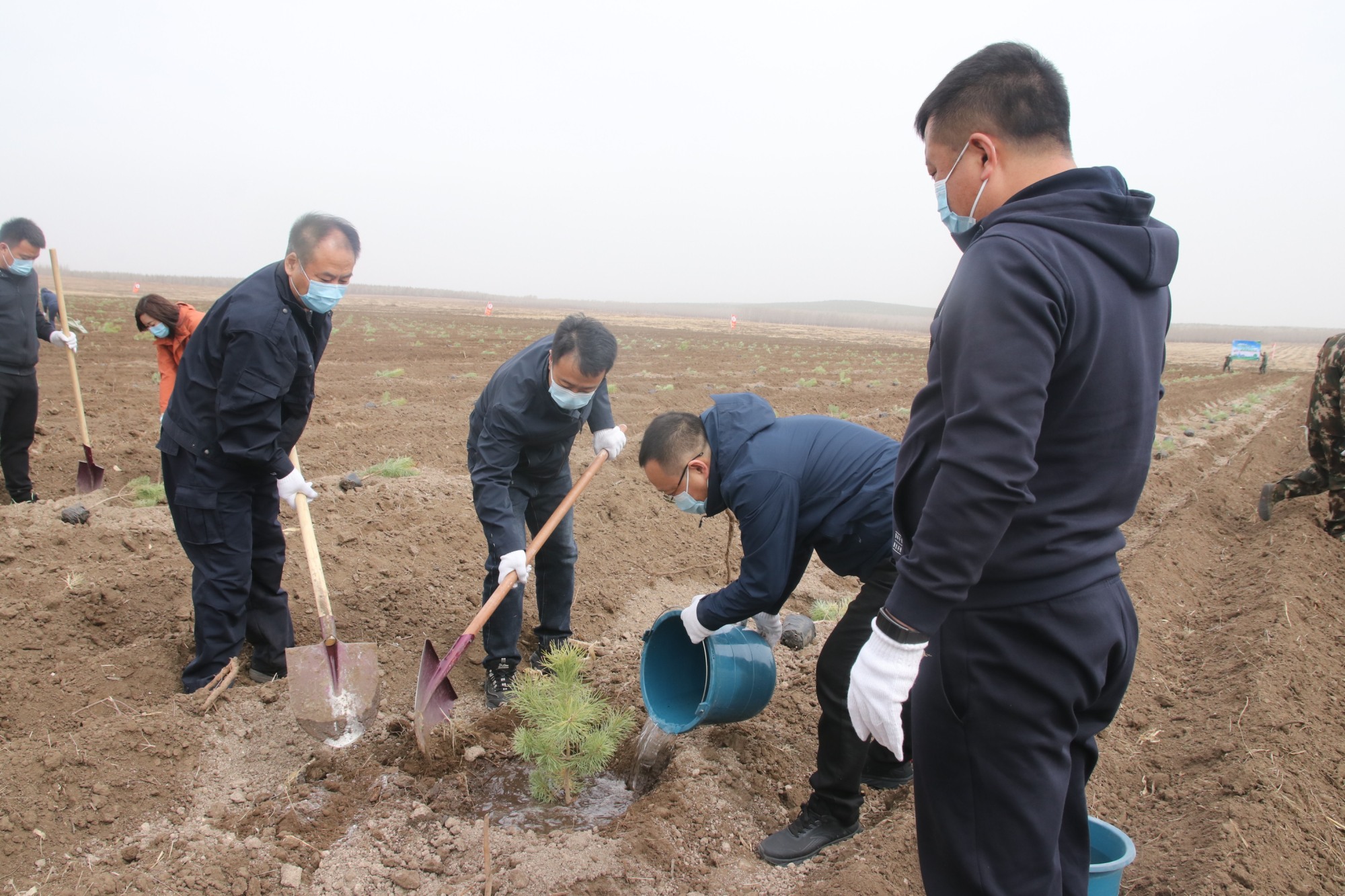 齐齐哈尔市龙江县全民义务植树打造绿水青山