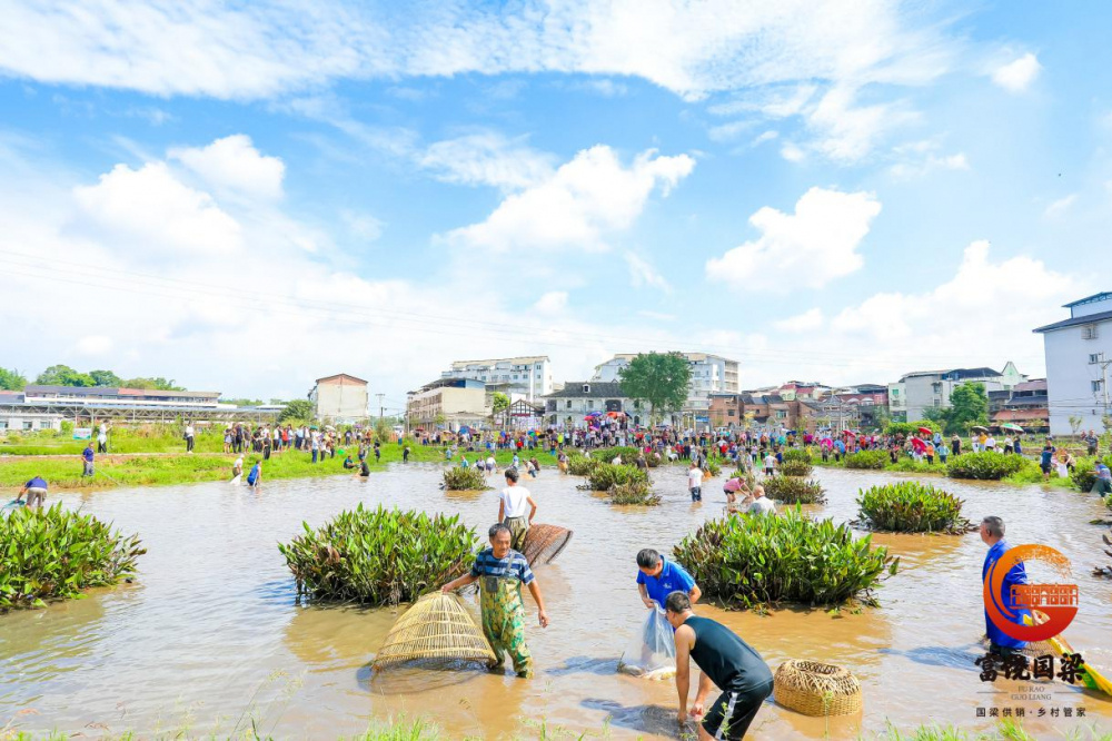 大足区国梁镇:打造乡村"好管家" 助力乡村全面振兴_央广网
