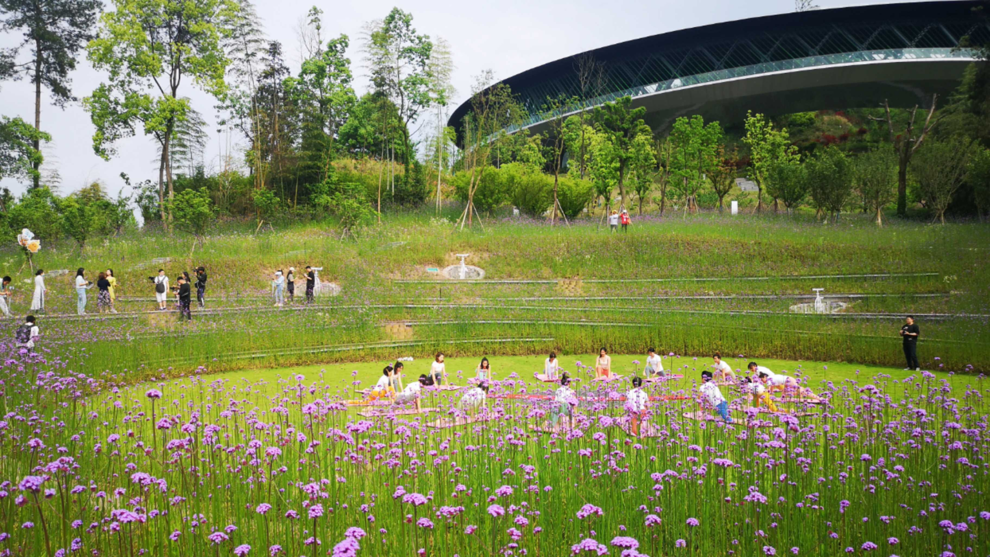 五一假期|重庆南川大观园欢乐节启动