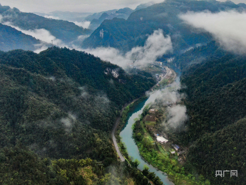 桑植县五道水镇芭茅溪村(央广网发   通讯员供图)绿水青山就是金山