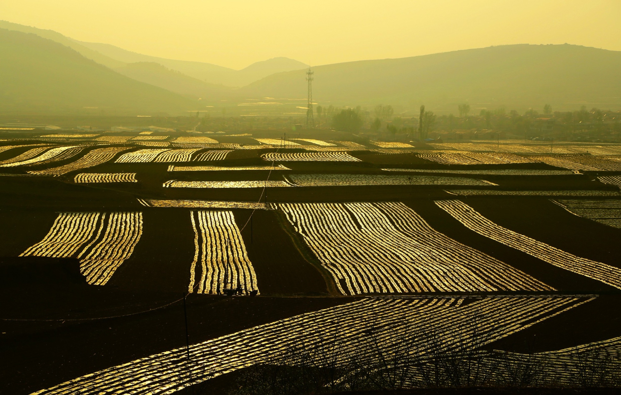 专家:近期降温降水对北方冬麦区东北春耕春播影响不大_央广网