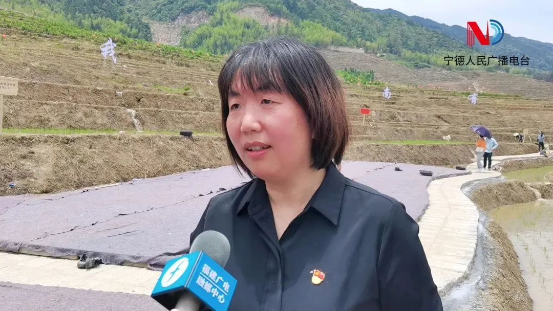 屏南县人民政府副县长张肖枫(央广网发 宁德人民广播电台供图)不负好