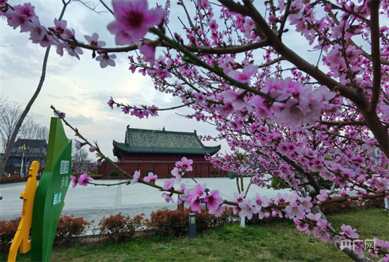 【老区新貌】开封杞县:卸了"旧貌"焕了"新妆"_央广网