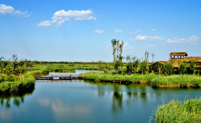 团泊湖乐乐岛湿地公园图片