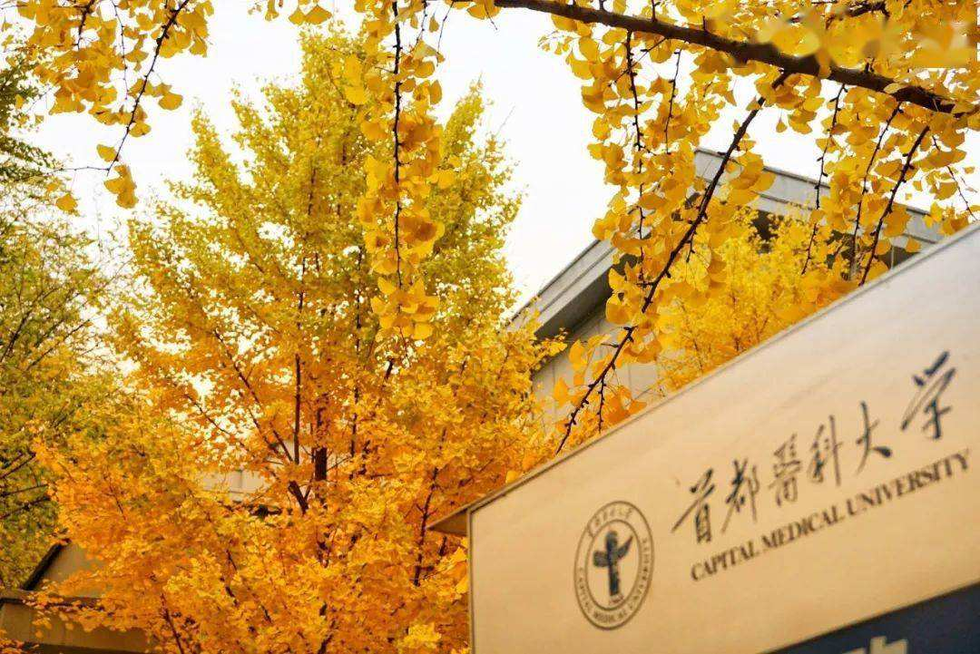 首都医科大学:致力成为国际一流的研究型医科大学