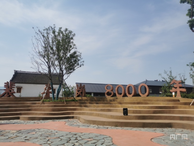 文化和自然遗产日丨打卡新郑裴李岗村探寻农耕文明起源