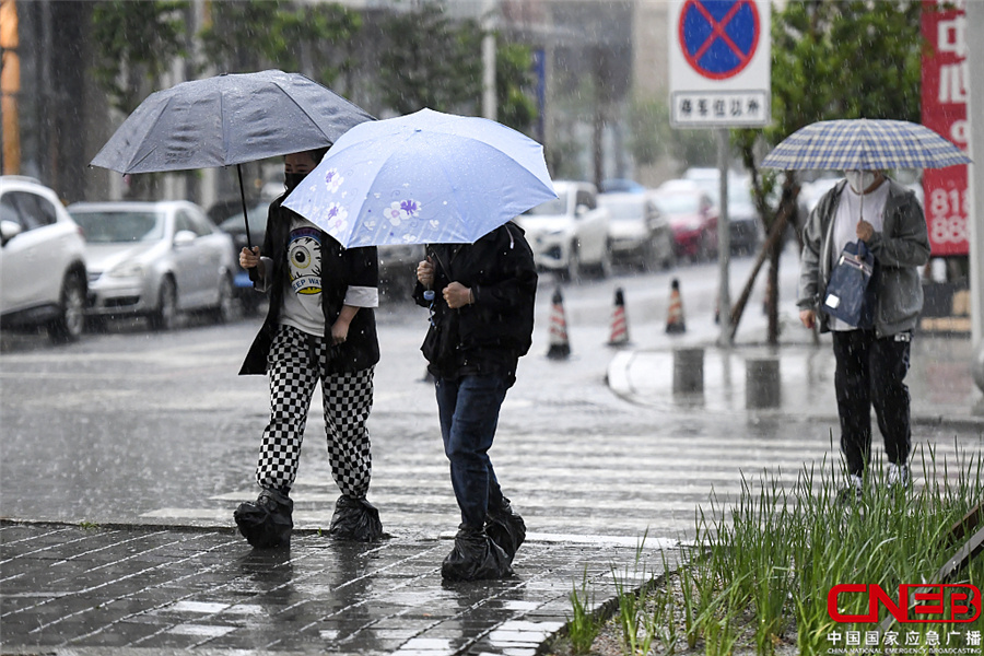 长春下雨图片