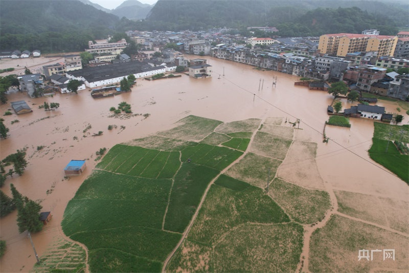 龙南市临塘飞机场图片