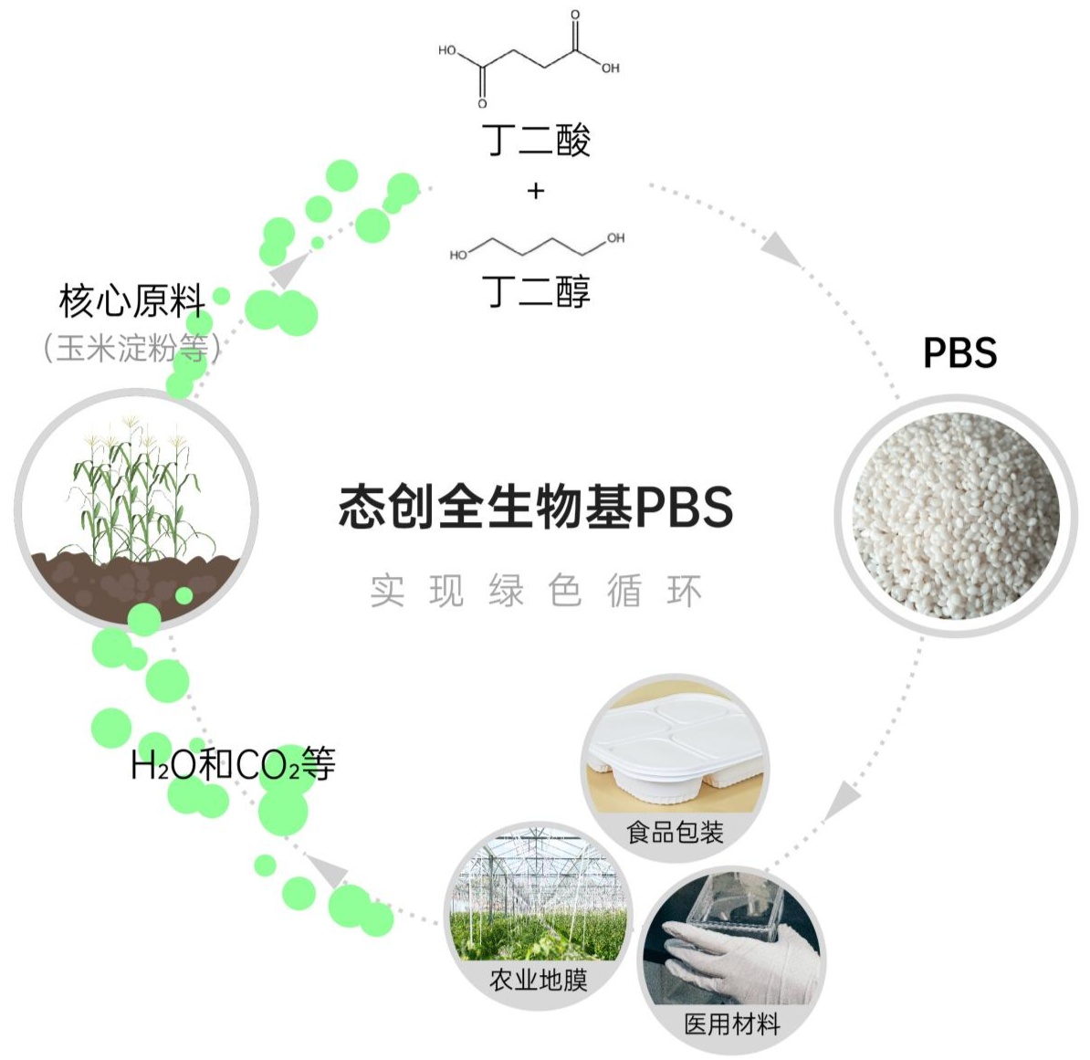 进击生物基材料市场，多物质量产平台态创生物启动PBS项目-牛科技