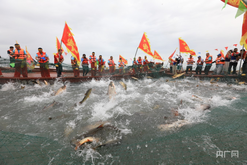 新疆博斯腾湖迎来开湖季 渔人欢笑鱼满仓