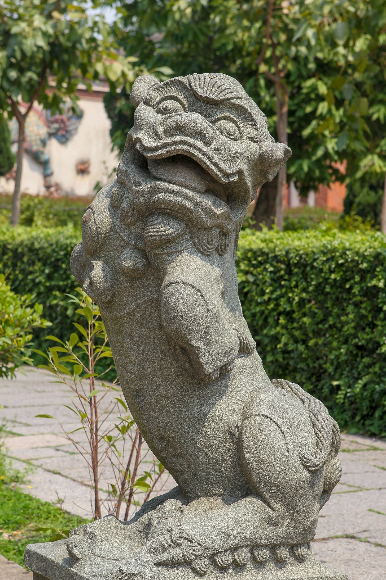 兴齐眼药(300573-兴齐眼药3月21日迅速飞腾