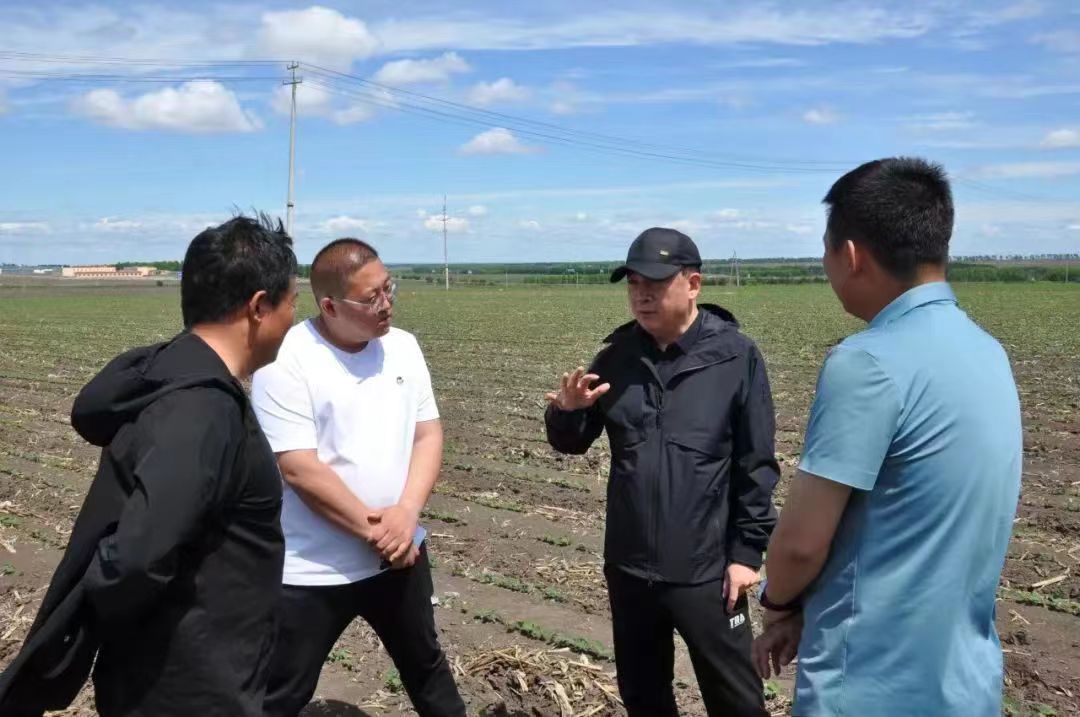 北大荒集团党委领导到赵光镇政府前进村实地调研垦地共建情况(央广网
