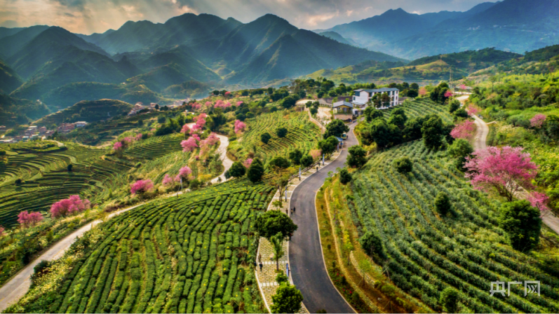 安溪铁观音茶文化系统公开征集logo和主题语