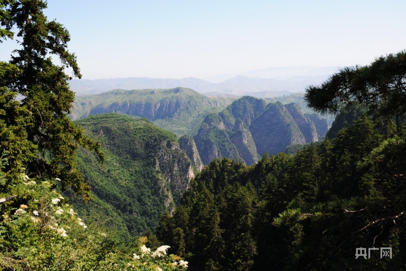 貴清山景區風景宜人(央廣網發 李紅軍 攝)打造遮陽山東溪西溪旅遊環線