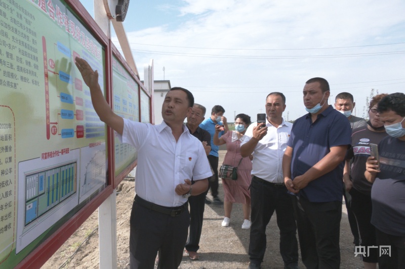 开元棋牌- 开元棋牌官方网站- 开元棋牌APP下载乡村行·看振兴）内蒙古乡村“一株草”染绿盐碱地 农牧民收获“意外之喜”