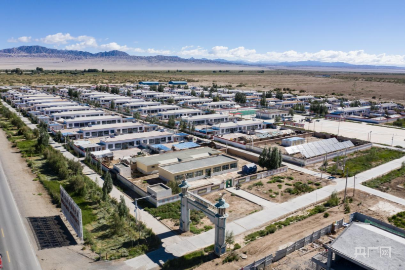 石榴花开在青海大柴旦马海村戈壁中的绿洲