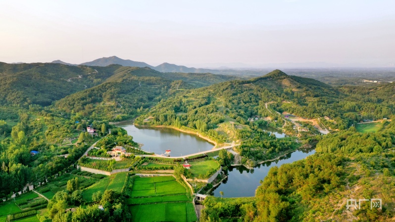 【组图】南阳市卧龙区:两年两万亩 荒山换新貌_央广网