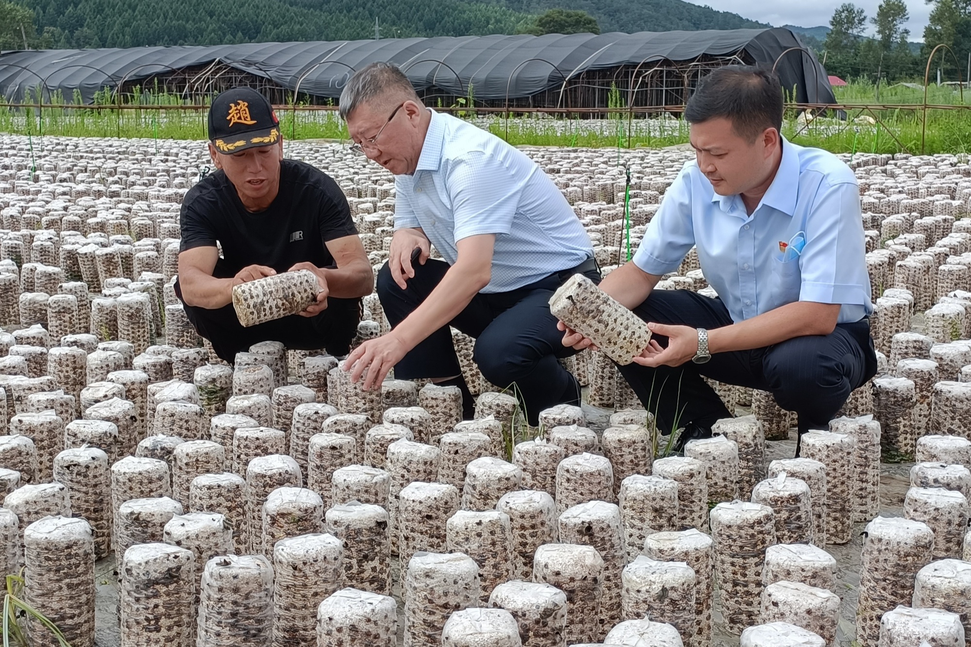 半年工资流水账单图片图片