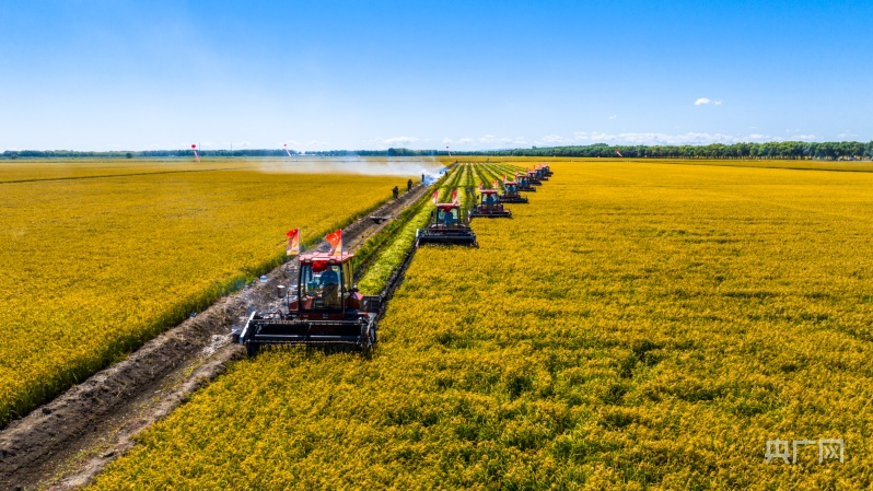 航拍北大荒丰收图景_央广网
