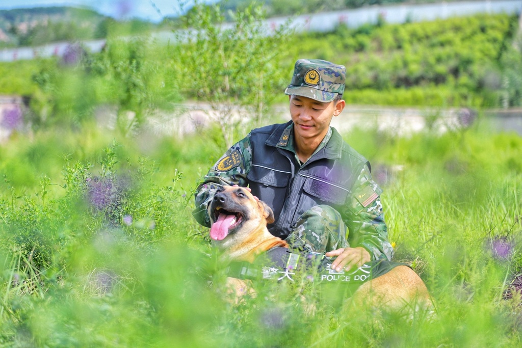 武警第一机动总队某支队组织警犬专业训练