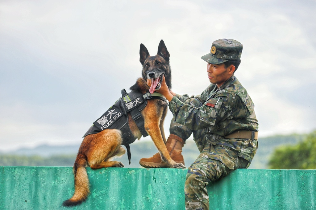 武警警犬基地图片