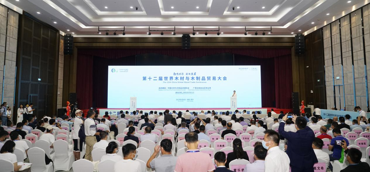 杨海健 摄)广西壮族自治区党委常委,自治区副主席许永锞致辞并宣布