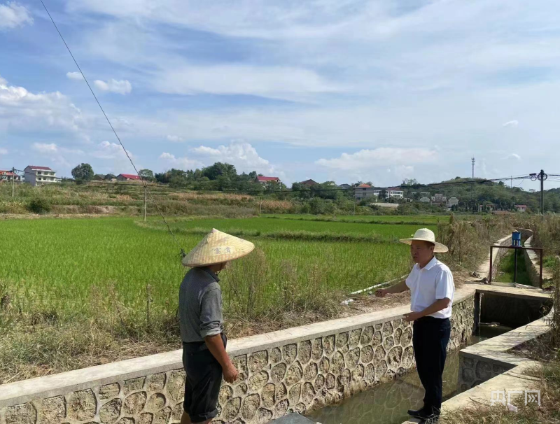 娄底蛇形山镇:打赢保粮持久战_央广网