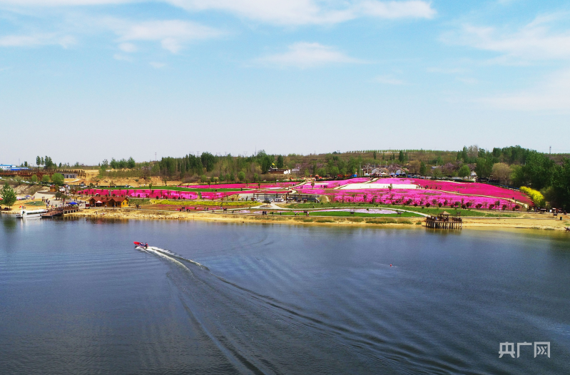 河南汤阴汤河国家湿地公园:绘就人与自然和谐相处美好画卷_央广网