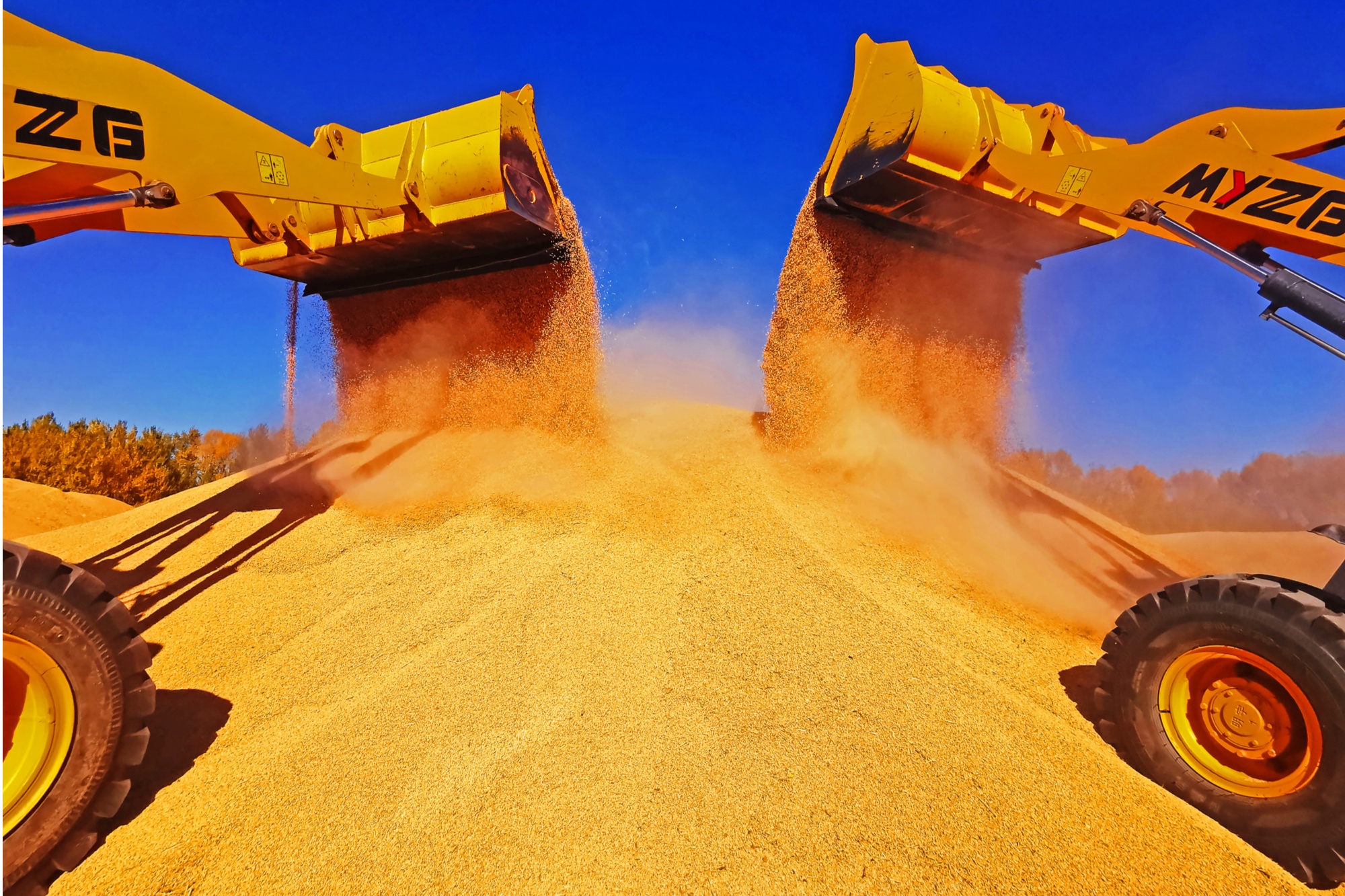 黑龙江:粮食生产获得大丰收_央广网