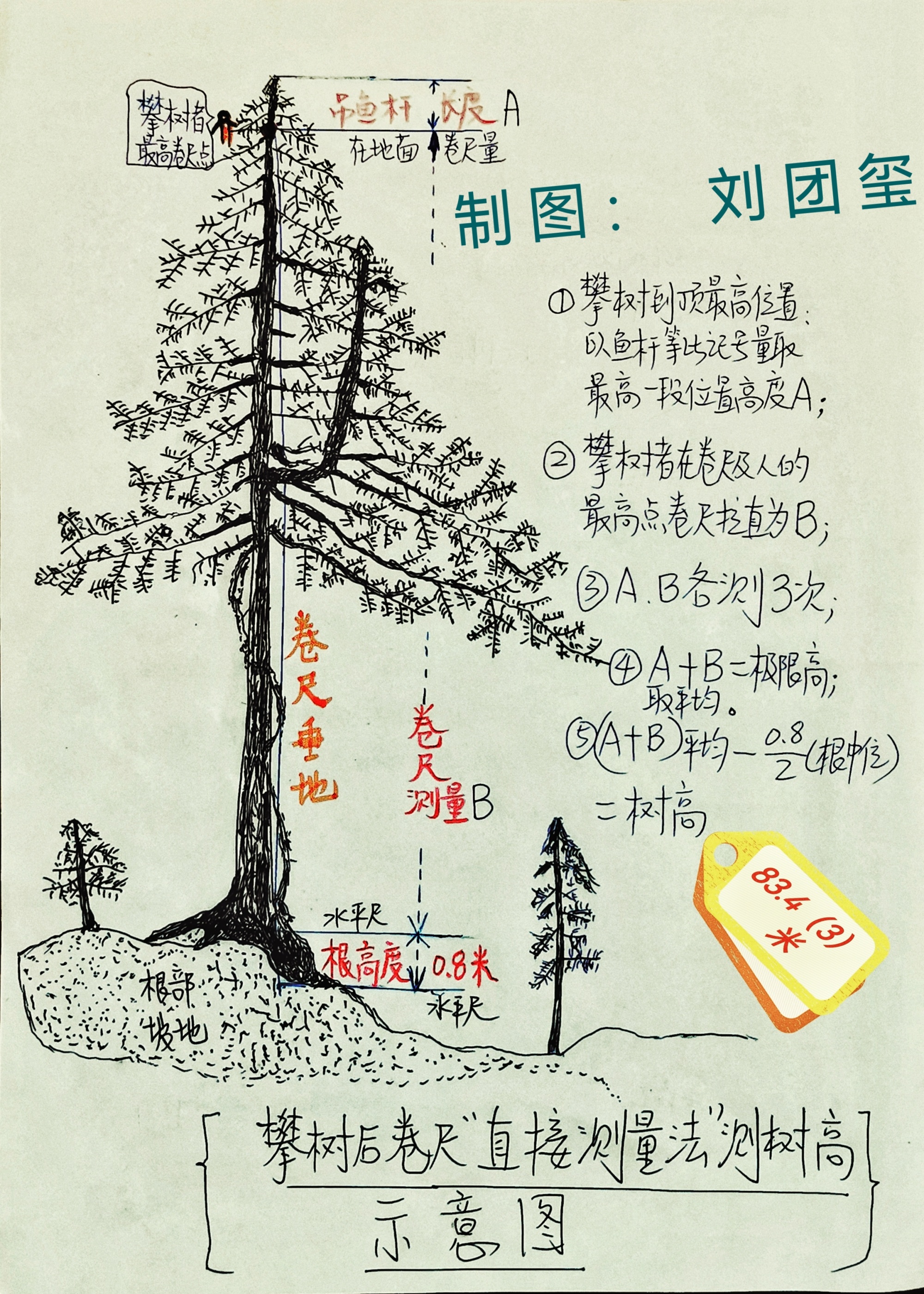 对话中国第一高树测量者：让公众更了解森林的生态价值_央广网