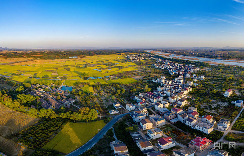 【航拍赣鄱】水乡秋色别样美_央广网