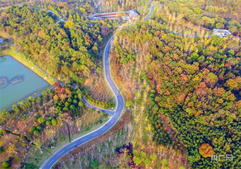 河南信阳:羊山森林植物园秋意浓