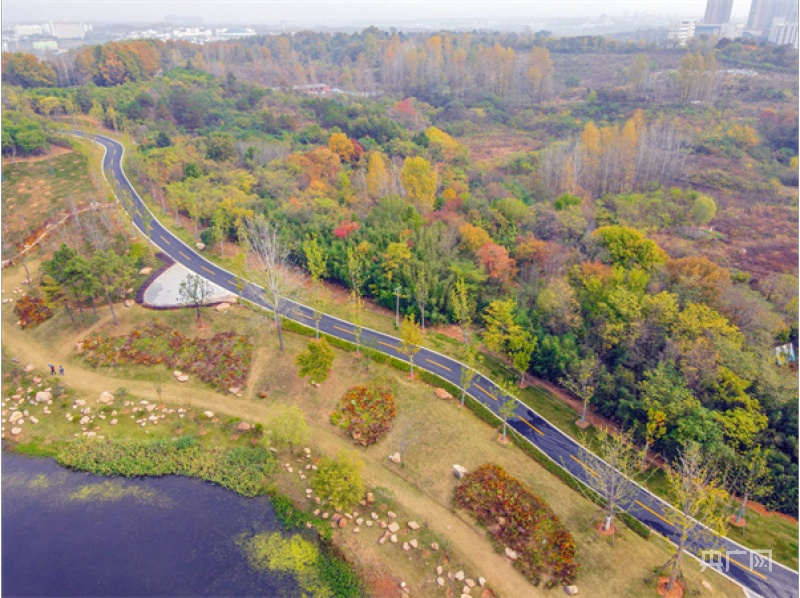 羊山森林植物园图片