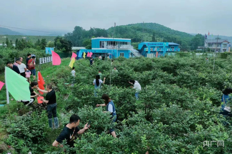 他说,公司盛堡蓝蓝莓通过绿色食品认证,媒体推介,节会展会宣传,鲜果