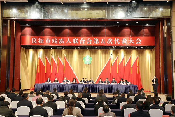 市委书记孙建年,扬州市残联党组书记,理事长顾爱华,仪征市人大常委会